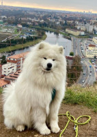 /album/reference/hlidacnemovitosti-jpg/